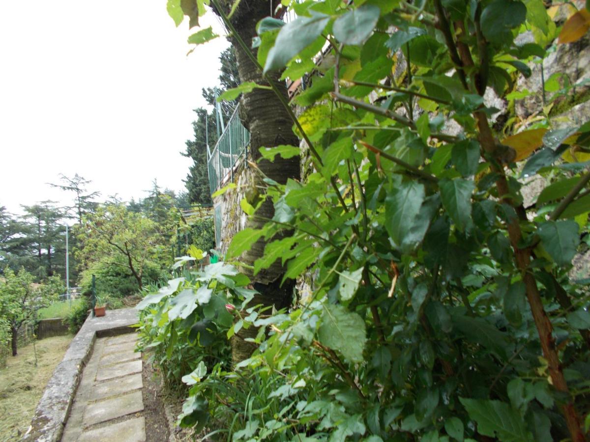 La Vecchia Locanda Castelnuovo di Val di Cecina Exterior photo